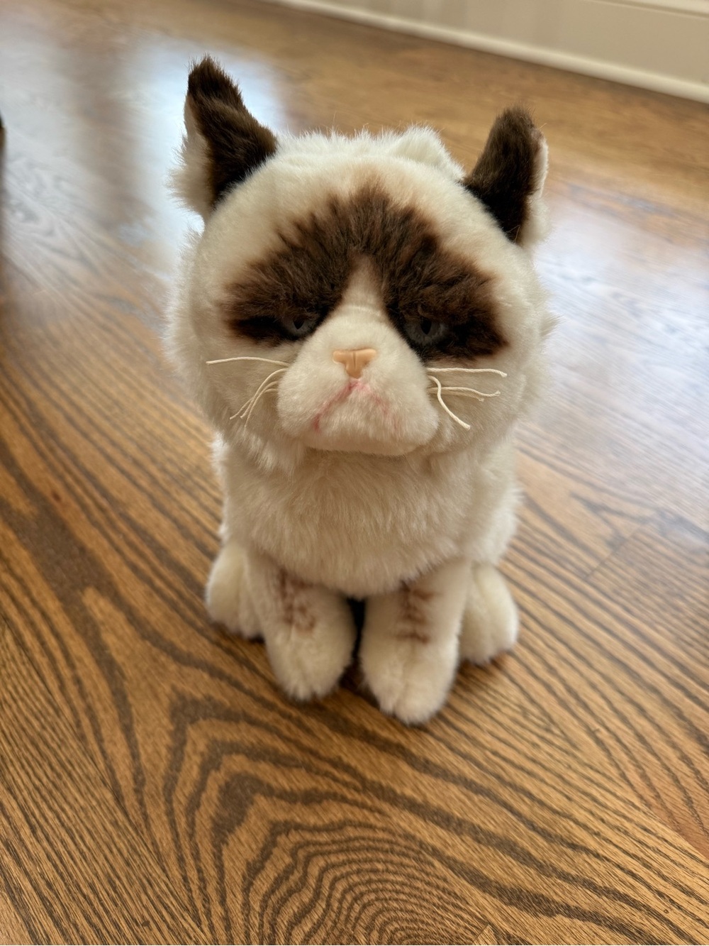 10” Plush Grumpy Cat by Gund